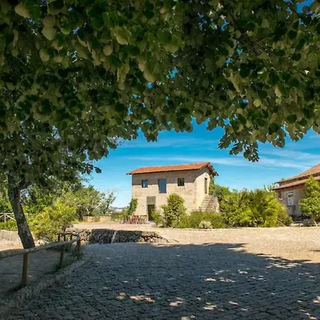 別荘 Casa De Andraes Camelias Marco de Canavezes