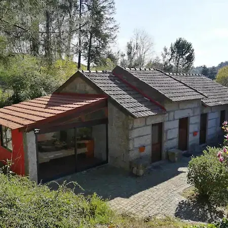 Casa De Andraes Camelias Marco de Canavezes