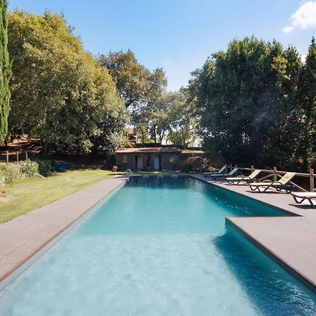 Casa De Andraes Camelias *