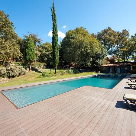 Casa De Andraes Camelias * Marco de Canavezes