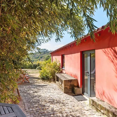 Casa De Andrães Camélias