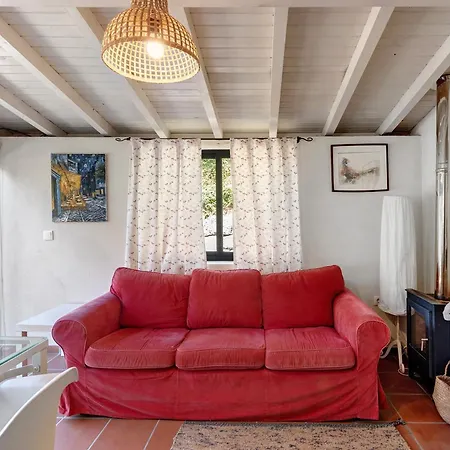 Casa De Andraes Camelias * Marco de Canavezes