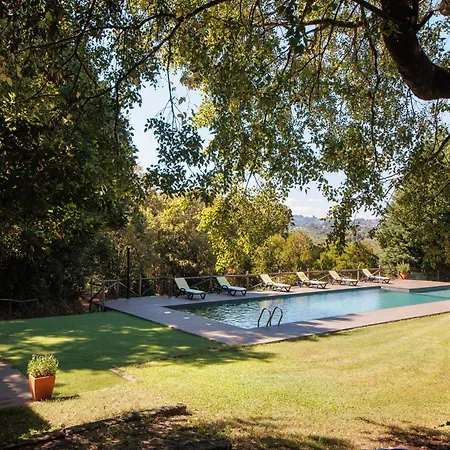 Casa De Andrães Camélias