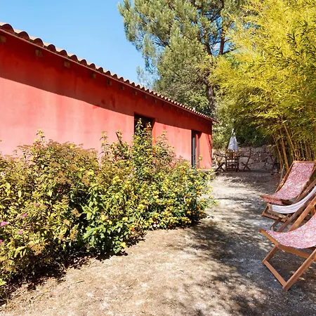 Casa De Andraes Camelias Σπίτι διακοπών Marco de Canavezes