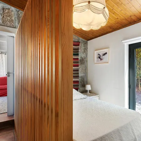 Casa De Andrães Camélias