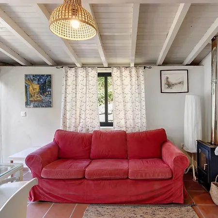 Casa De Andraes Camelias
