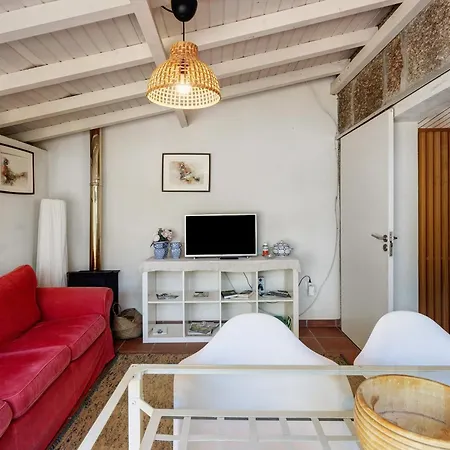 Casa De Andraes Camelias