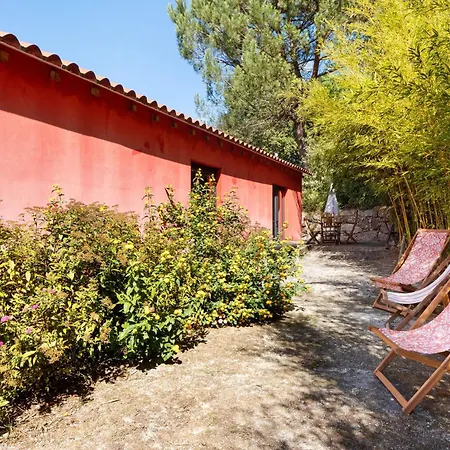 Casa De Andraes Camelias