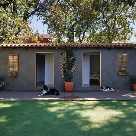 펜션 Casa De Andraes Camelias