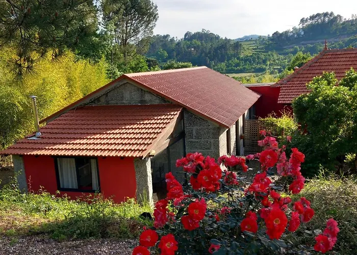 Casa De Andrães Camélias Hébergement de vacances *