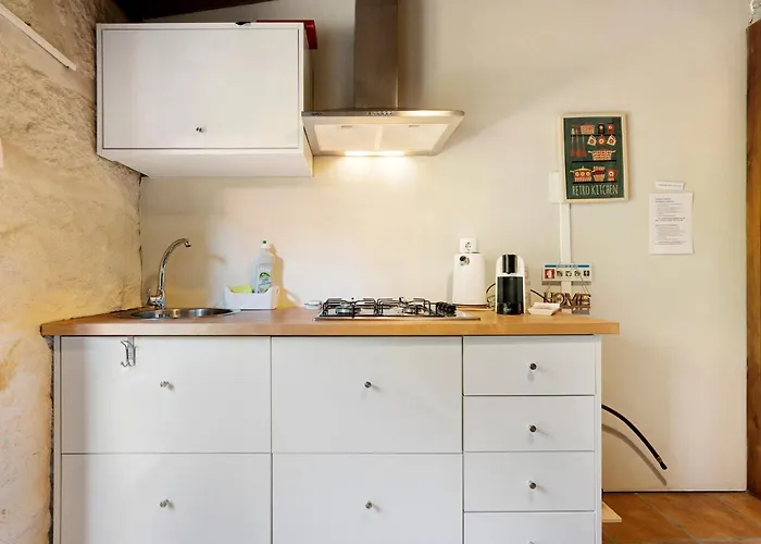 Casa De Andrães Camélias Hébergement de vacances