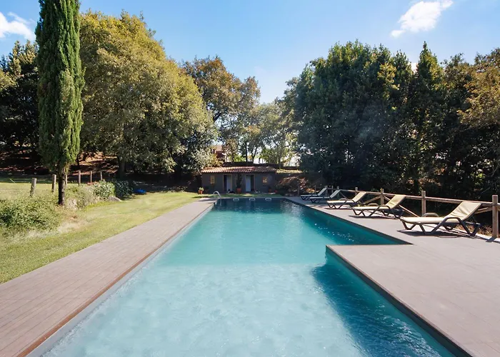 Casa De Andrães Camélias *