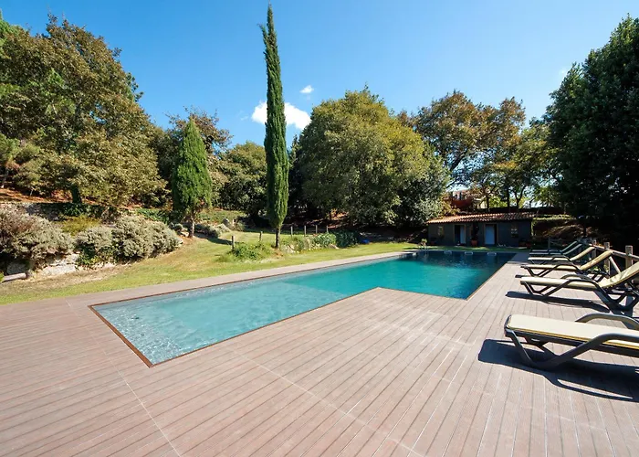 Casa De Andrães Camélias * Marco de Canavezes