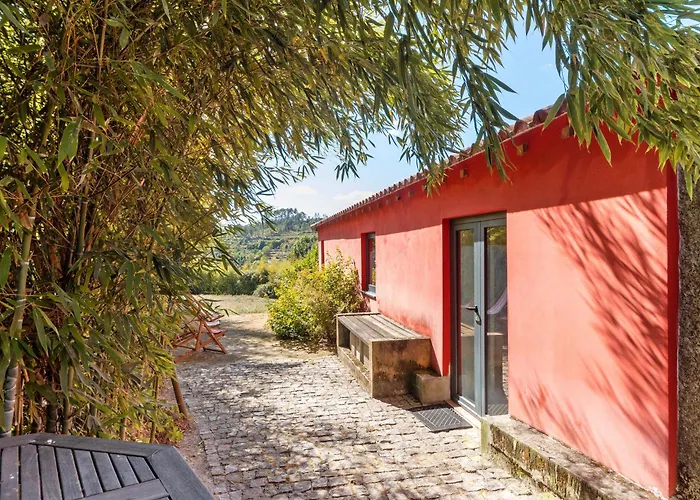 Casa De Andrães Camélias