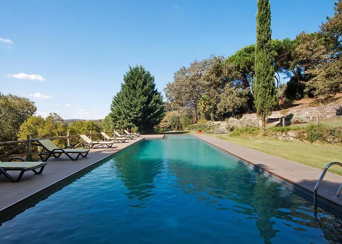 Casa De Andrães Camélias Hébergement de vacances