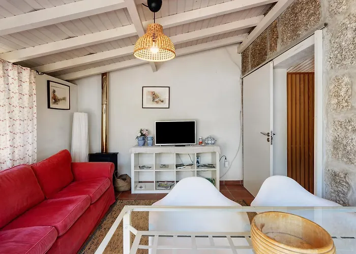 Casa De Andrães Camélias Hébergement de vacances Marco de Canavezes