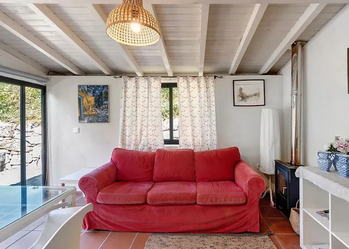 Casa De Andrães Camélias * Marco de Canavezes