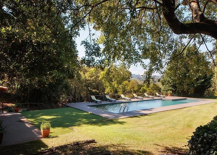 Casa De Andrães Camélias