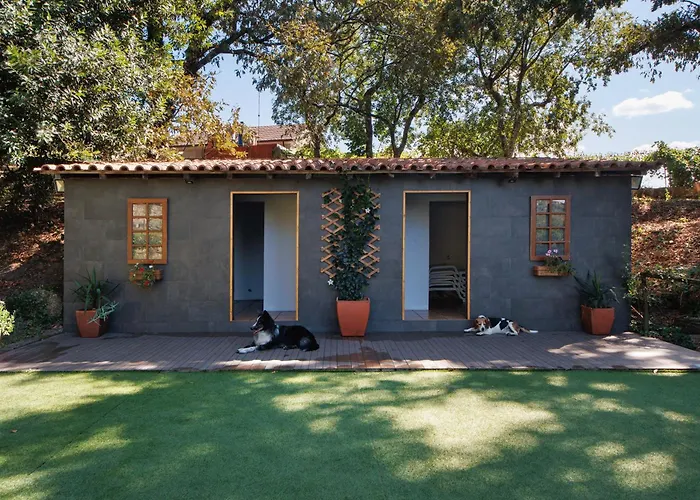 Hébergement de vacances Casa De Andrães Camélias