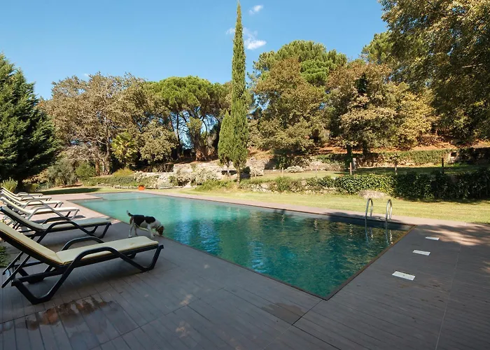 Casa De Andrães Camélias Hébergement de vacances