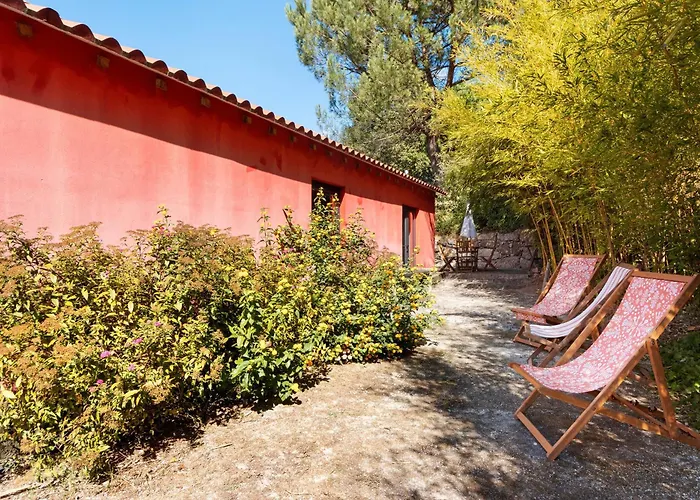 Casa De Andrães Camélias Hébergement de vacances Marco de Canavezes