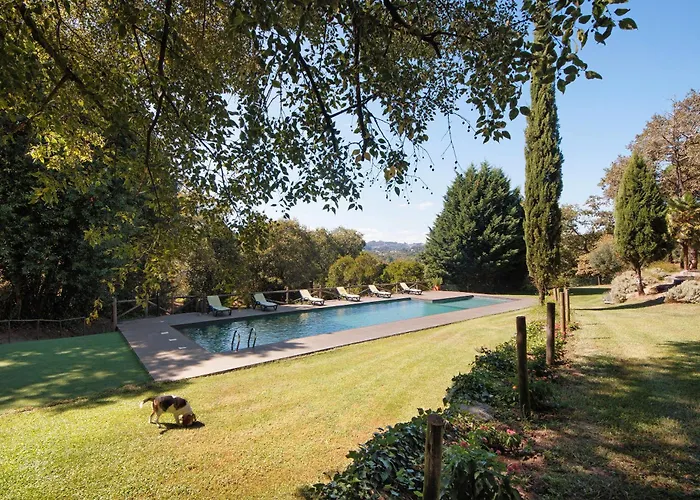 Casa De Andrães Camélias